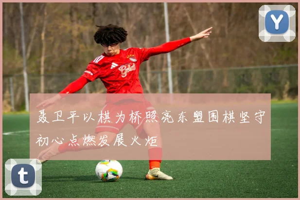 聂卫平以棋为桥照亮东盟围棋坚守初心点燃发展火炬