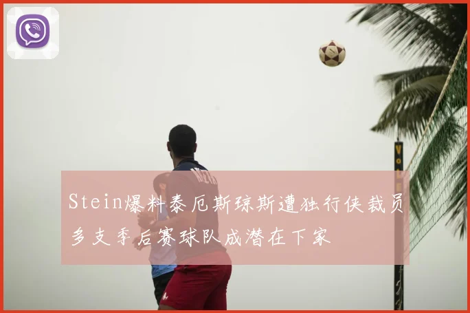 Stein爆料泰厄斯琼斯遭独行侠裁员多支季后赛球队成潜在下家