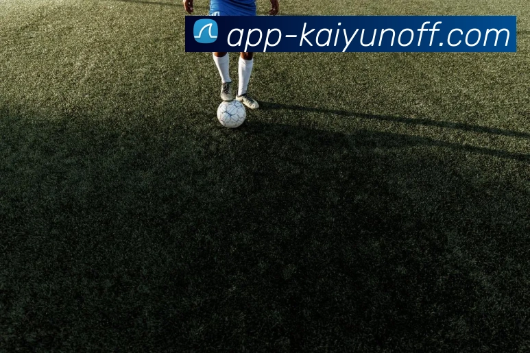 开云App下载APP 封面图